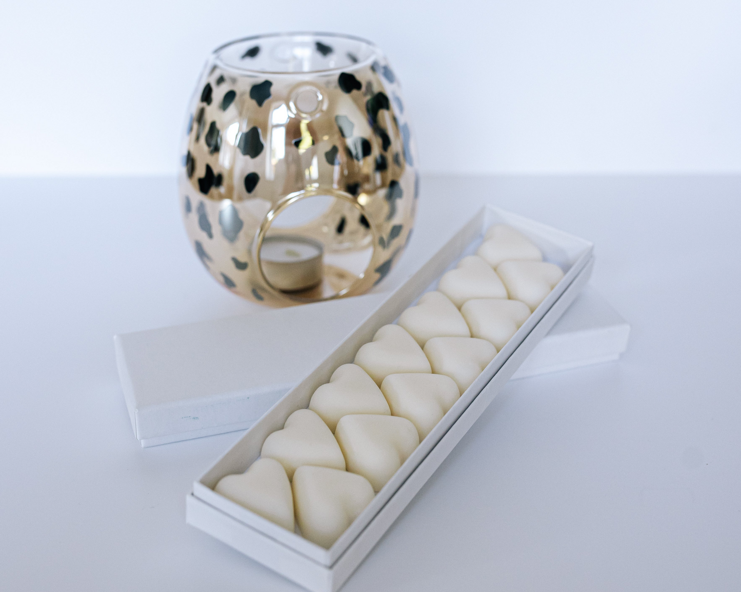 Wax Melt & burner Package