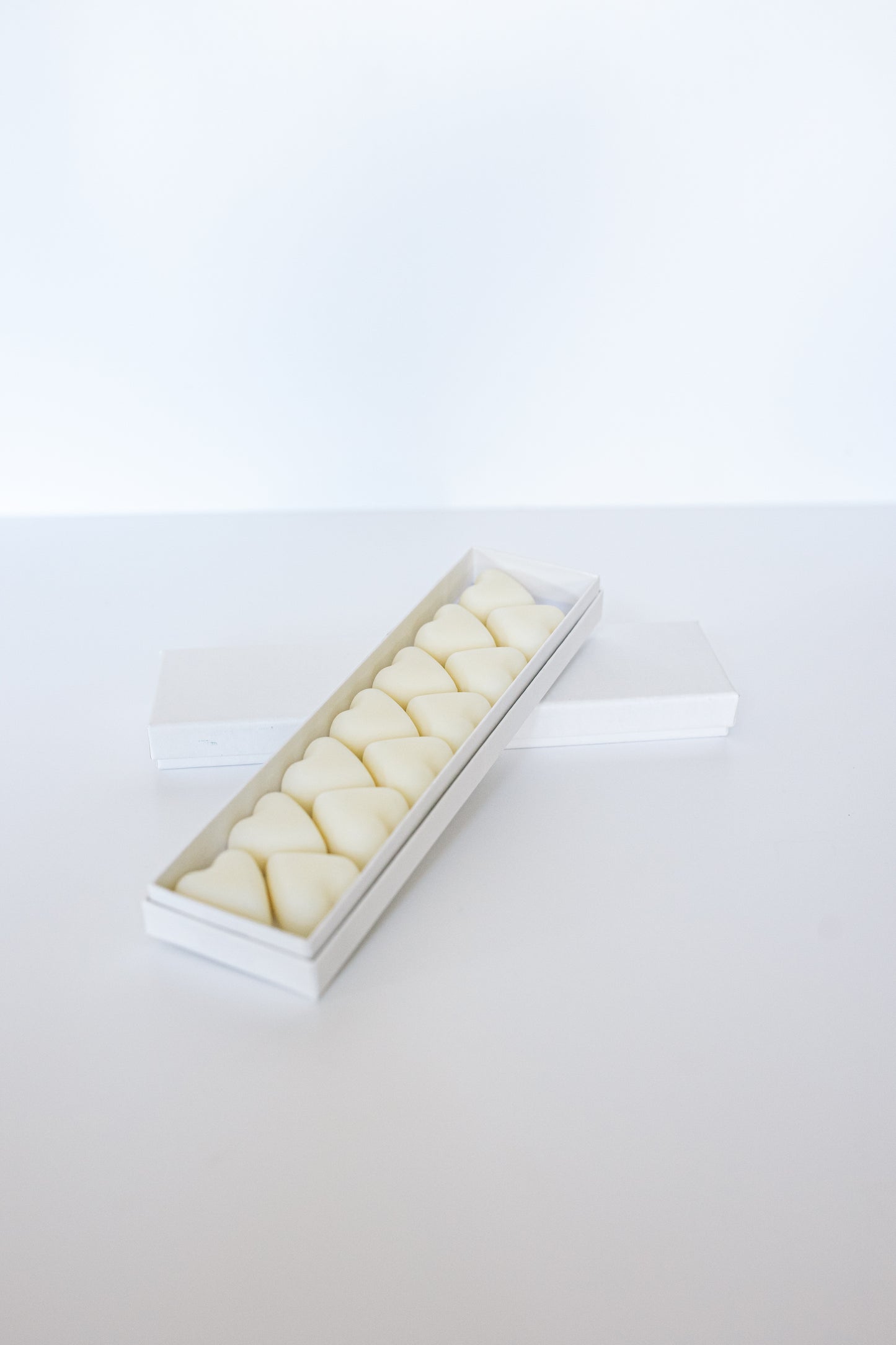 Wax Melt & burner Package
