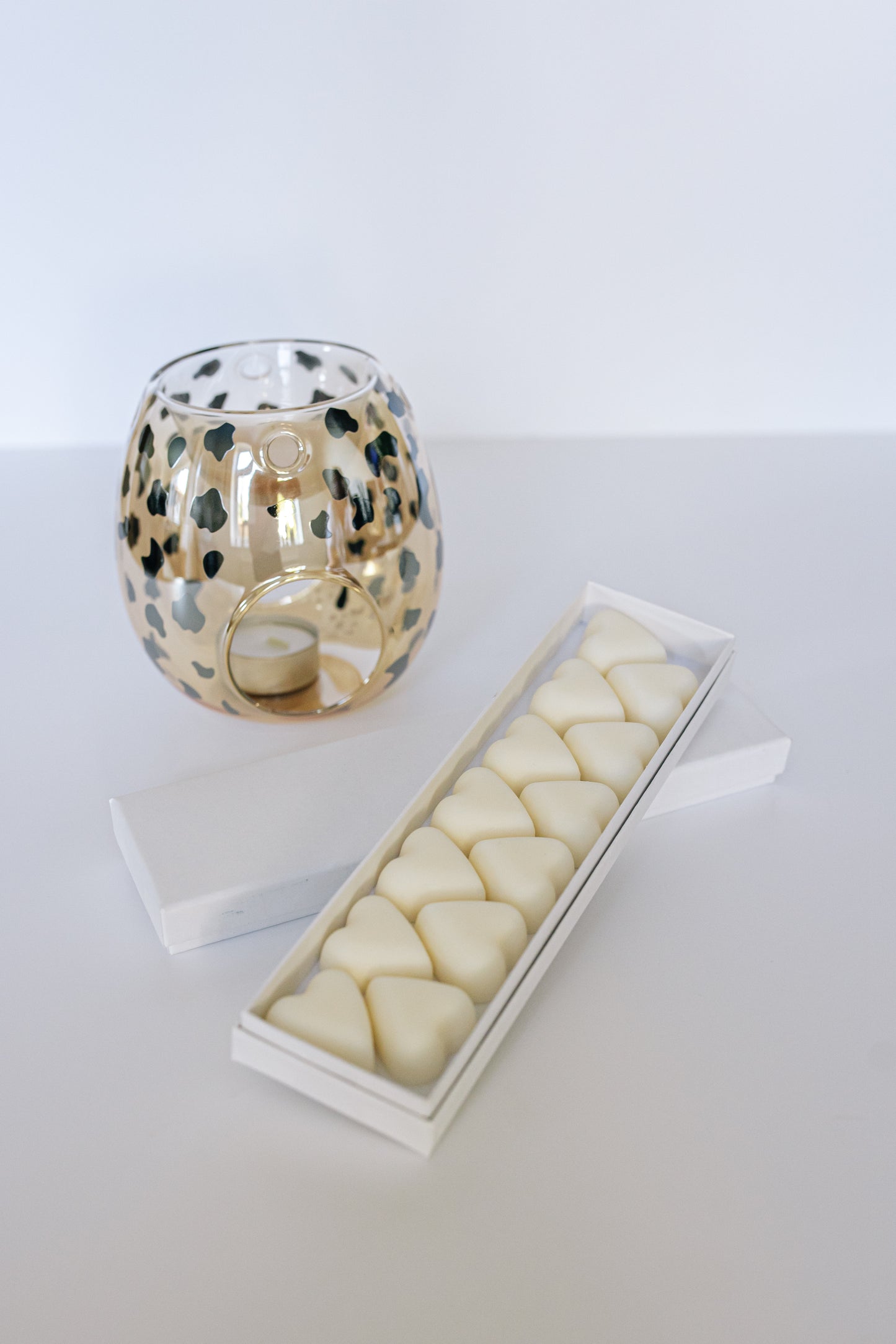 Wax Melt & burner Package